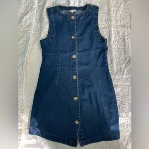 Vigoss Denim Dress